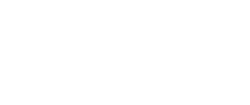 1963年７月27日中国・広東省生まれ。幼少の頃から、武術家である母のもとで少林拳や太極拳の訓練を積む。ブルース・リーの映画に衝撃を受け、18歳から北京の体育学校で本格的に武術を学ぶ。その後ユエン・ウーピンに見出されて『ドラゴン酔太極拳』（84）に出演し香港映画界に進出。92年『ワンス・アポン・ア・タイム・イン・チャイナ 天地大乱』で香港電影金像奨助演男優賞にノミネートされるなど、本格派アクション俳優として知られるようになった。『ドラゴン危機一発’97』(97)、『ドニー・イェンCOOL』（98）では監督も務め、以降も俳優だけでなく、監督やアクション監督として活躍。00年には『ハイランダー 最終戦士』でハリウッドデビューを果たし『ブレイド２』（02）にも出演。また日本映画『修羅雪姫』（01）、ユアン・マクレガーが出演『アレックス・ライダー』（06）でアクション監督を務めるなど、ワールドワイドな活躍を見せている。主演兼アクション監督の『SPL  狼よ静かに死ね』（05）では香港電影金像奨最優秀アクション監督賞を受賞。その後も『イップ・マン  序章』（08）の大ヒットで、中国でもっとも人気のあるアクションスターとして数多くの作品に主演する。主な出演作品に『タイガー・コネクション』（90）、『ドラゴン・イン』（92）、『ドラゴン電光石火98』（93）、『ワンス・アポン・ア・タイム・イン・チャイナ外伝／アイアン・モンキー』（93）、『レディ・ファイター詠春拳伝説』（94）、『新・ドラゴン危機一発』（98）、『HERO』（02）、『シャンハイ・ナイト』（03）、『花都大戦 ツインズ・エフェクトⅡ』（04）、『セブンソード』（05）、『かちこみ！ドラゴン・タイガー・ゲート』（06）、『導火線  FLASH  POINT』（07）、『画皮 あやかしの恋』（08）、『エンプレス／運命の戦い』（08）、『孫文の義士団』（09）、『イップ・マン葉問』（10）、『レジェンド・オブ・フィスト 怒りの鉄拳』（10）、『処刑剣 14BLADES』（10）、『三国志英傑伝 関羽』（11）、『捜査官X』（11）がある。