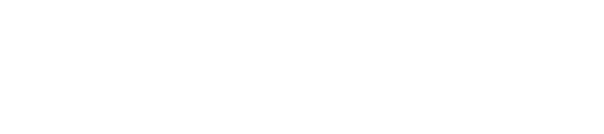 1975年5月11日アメリカ・ロードアイランド州プロビデンス生まれ。俳優を目指して香港に行き、ツイ・ハーク監督に見い出されて『ブラックマスク２』（03）の主役に抜擢されて映画デビューを飾る。その後アクションスターとしての道を歩み、『スターランナー』（03）では香港電影金像奨最優秀新人賞を受賞。近年は悪役を演じるなど、演技に幅を持ったアクションスターとして活躍している。主な出演作品に『スー・チーinミスター・パーフェクト』（03）、『香港国際警察 NEW POLICE STORY』（04）、『ラヴァーズ＆ドラゴン』（04）、『エレクション 死の報復』（06）、『MAD探偵 ７人の容疑者』（07）、『インビジブル・ターゲット』（07）、『三国志』（08）、『酔拳  レジェンド・オブ・カンフー』（09）、『三国志英傑伝　関羽』（10）、『項羽と劉邦/White Vengeance』（11）、『ブラッド・ウェポン』（12）、『ネイキッド・ソルジャー亜州大捜査線』（12）、『コールド・ウォー 香港警察 二つの正義』（12）、『ファイアー・レスキュー』（13）、『クリミナル・アフェア 魔警』（14）がある。