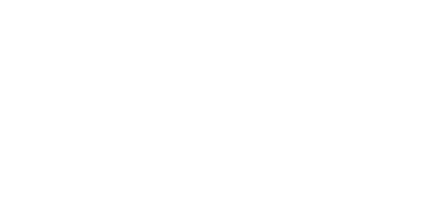 香港映画はブルース・リーが登場して以来、ジャッキー・チェン、ジェット・リーと、世界的人気を誇るアクションスターを輩出してきた。そして今、彼らに続くアクションスターとして、中華圏だけでなく世界的人気を誇るのが、『イップ・マン 葉問』シリーズなどの作品で日本でも知られるドニー・イェンである。そんな彼が2007年に主演兼アクション監督を務めた『導火線  FLASH POINT』以来、久々の現代アクションに出演したのが、『スペシャルＩＤ 特殊身分』である。主演兼アクション監督も務めた本作では、香港でヤクザ組織に潜入捜査している男ロンを演じ、中国本土の女刑事と手を組んで事件を解決していくアクション作品となっている。本作品は、『SPL  狼よ静かに死ね』、『導火線  FLASH POINT』に続く、ドニー・イェン現代アクション3部作と位置づけされており、これまでのクンフーアクションにMMA（総合格闘技）の要素を取り入れたリアルアクションを目指して作られている。主演兼アクション監督をドニー・イェンが務め、共演には、『ファイアー・レスキュー』『ブラッド・ウェポン』ほか、『三国志英傑伝　関羽』ではドニー・イェンと共演済みのアンディ・オンが兄弟分の敵役を演じ、クライマックスでは壮絶なガチンコ・バトルアクションを見せている。また中国の女刑事には2013年北京四大美人女優に選ばれた『ポリス・ストーリー／レジェンド』のジン・ティエンが演じ、『カンフーサイボーグ』のロナルド・チェン、『トゥームレイダー２』のテレンス・イン、『マトリックス』のコリン・チョウ、『レクイエム　最後の銃弾』のケネス・ローといった香港映画でおなじみの面々が顔を揃えている。スタッフには、監督を『タイム・ソルジャーズ　愛は時空を超えて』のクラレンス・フォクが担当し、撮影には『グリーン・デスティニー』で米アカデミー賞最優秀撮影賞を受賞している香港の名匠ピーター・パウ、脚本を『エグザイル／絆』等、ジョニー・トー作品を数多く手掛けているシトー・カムイェンと、香港映画の一流スタッフが手掛けた。そしてスタント・コーディネーターには『るろうに剣心』シリーズでアクション監督を務め、ドニー・イェンの右腕である谷垣健治と、『るろうに剣心』のスタント・チームが参加し、怪我も恐れぬ激しいスタントを随所に見せている。