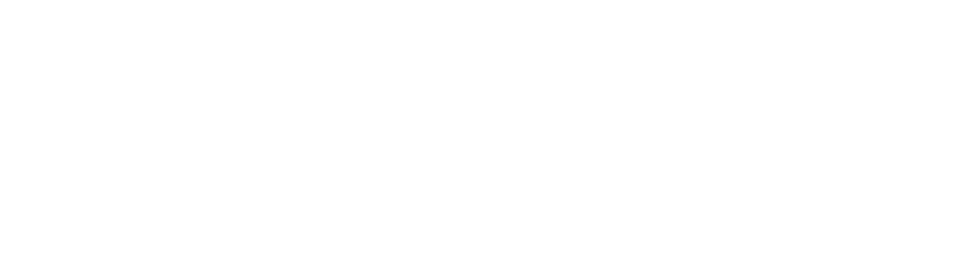 黒社会のボス、ホン（コリン・チョウ）の組に長年潜入捜査しているロン（ドニー・イェン）は、兄弟分のサニー（アンディ・オン）がホンの兄弟分クンを殺害してブツを盗んだことで、ホンからサニーを探すように命令される。同様に香港警察のチャン警部からもサニーを確保するように指示されたロンは、中国・広東省に飛び、中国警察のジン刑事（ジン・ティエン）と組むことになる。久々にサニーに再会するものの、サニーの命を狙う殺し屋が現れ、ロンの差し金ではないかとサニーからも疑われたロンは、ジン刑事とぶつかりながらも事件解決に挑む！